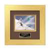 Premier VividPrint Metal Framed Award