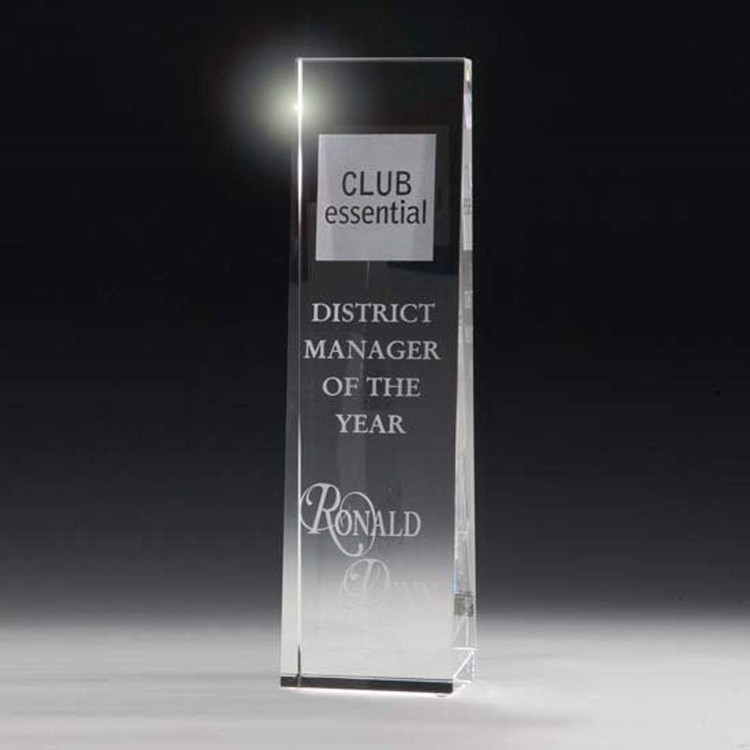 McKinley Tower Award