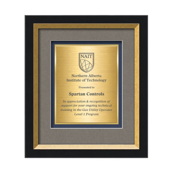 Omni Certificate TexEtch Framed Award