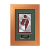 Premier Aquashape Framed Award