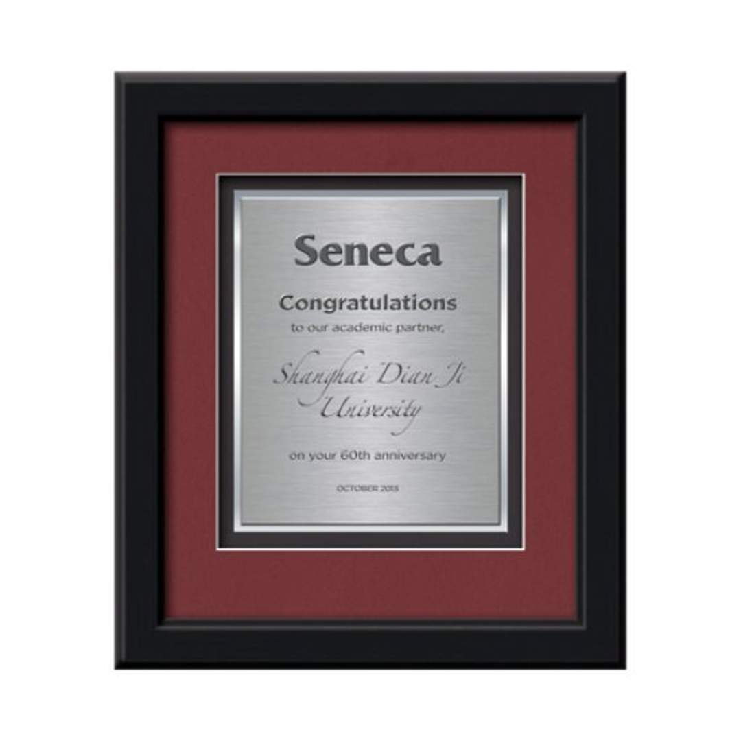 Myriad Certificate TexEtch Framed Award
