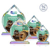 Royal Diamond VividPrint™ Award