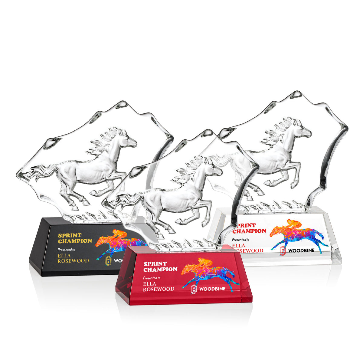 Ottavia Horse VividPrint™ Award
