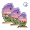 Wichita VividPrint™ Award