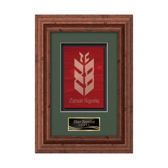 Terrene Framed Award