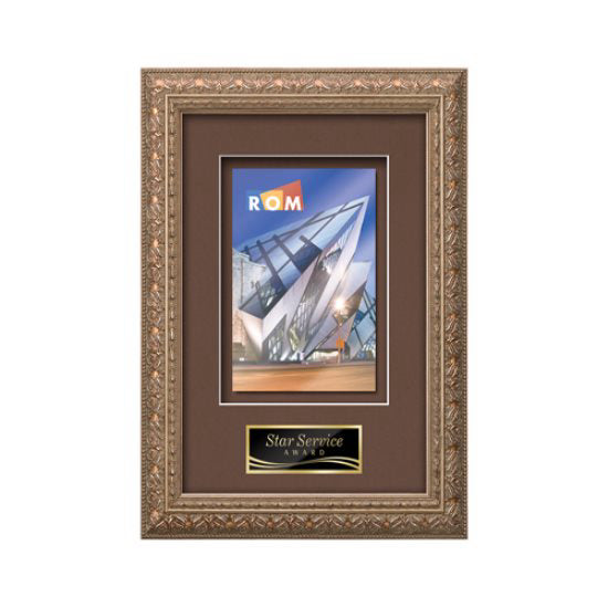 Romagna VividPrint Metal Framed Award