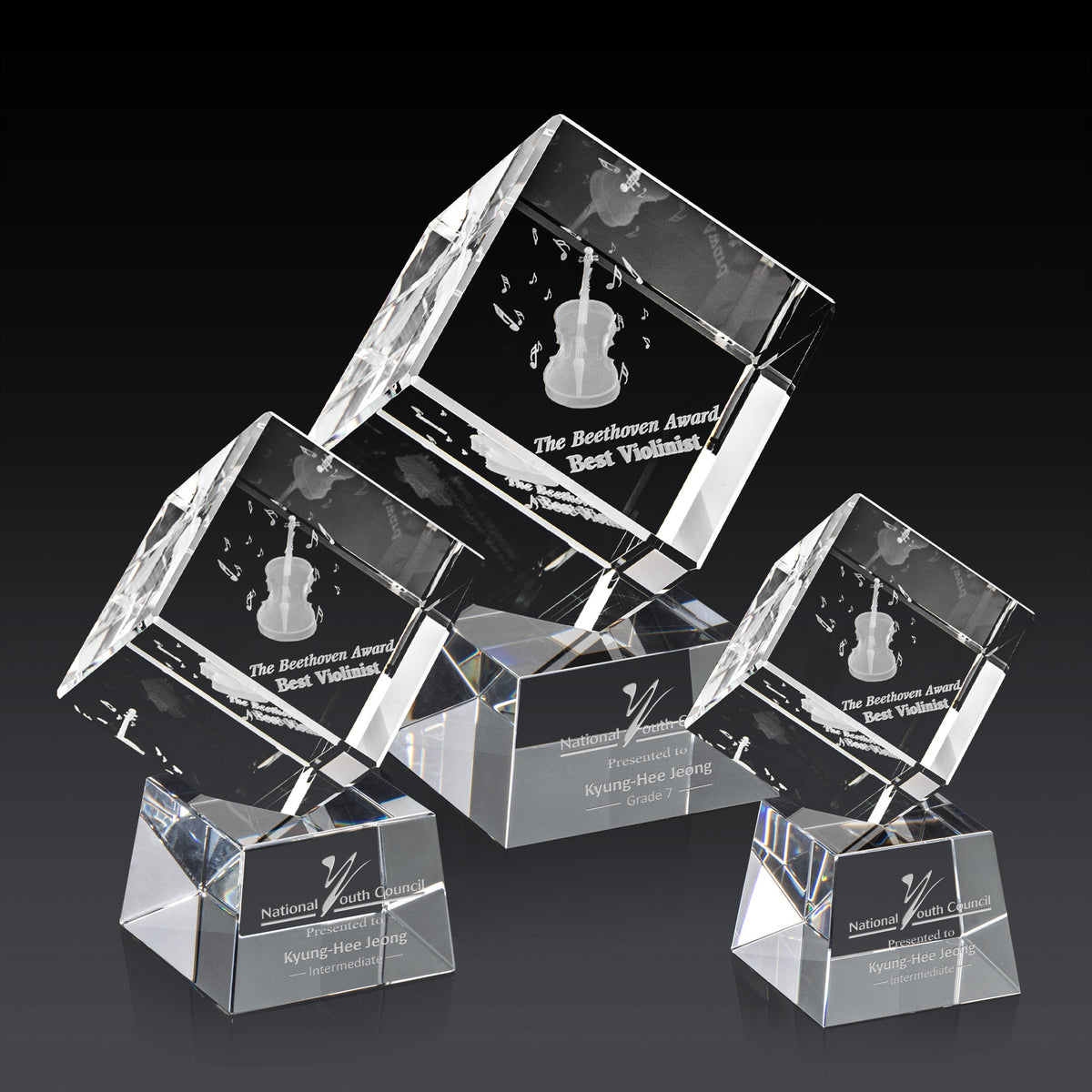 Burrill 3D Award on Robson Base