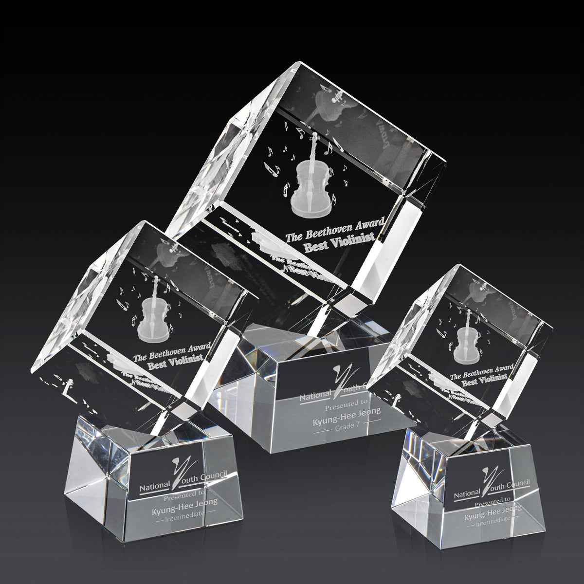 Burrill 3D Award on Robson Base