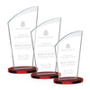 Tomkins Award