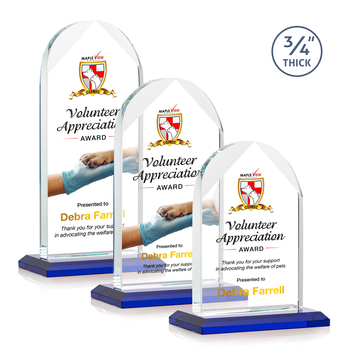 Blake VividPrint™ Award - Blue