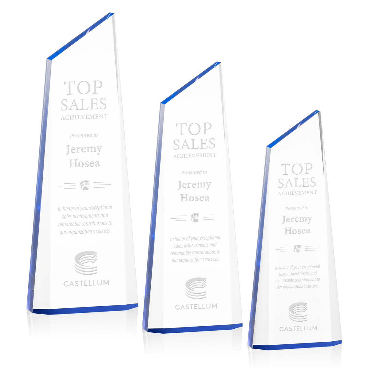 Hudson Award - Blue