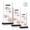 Arizona VividPrint™ Award