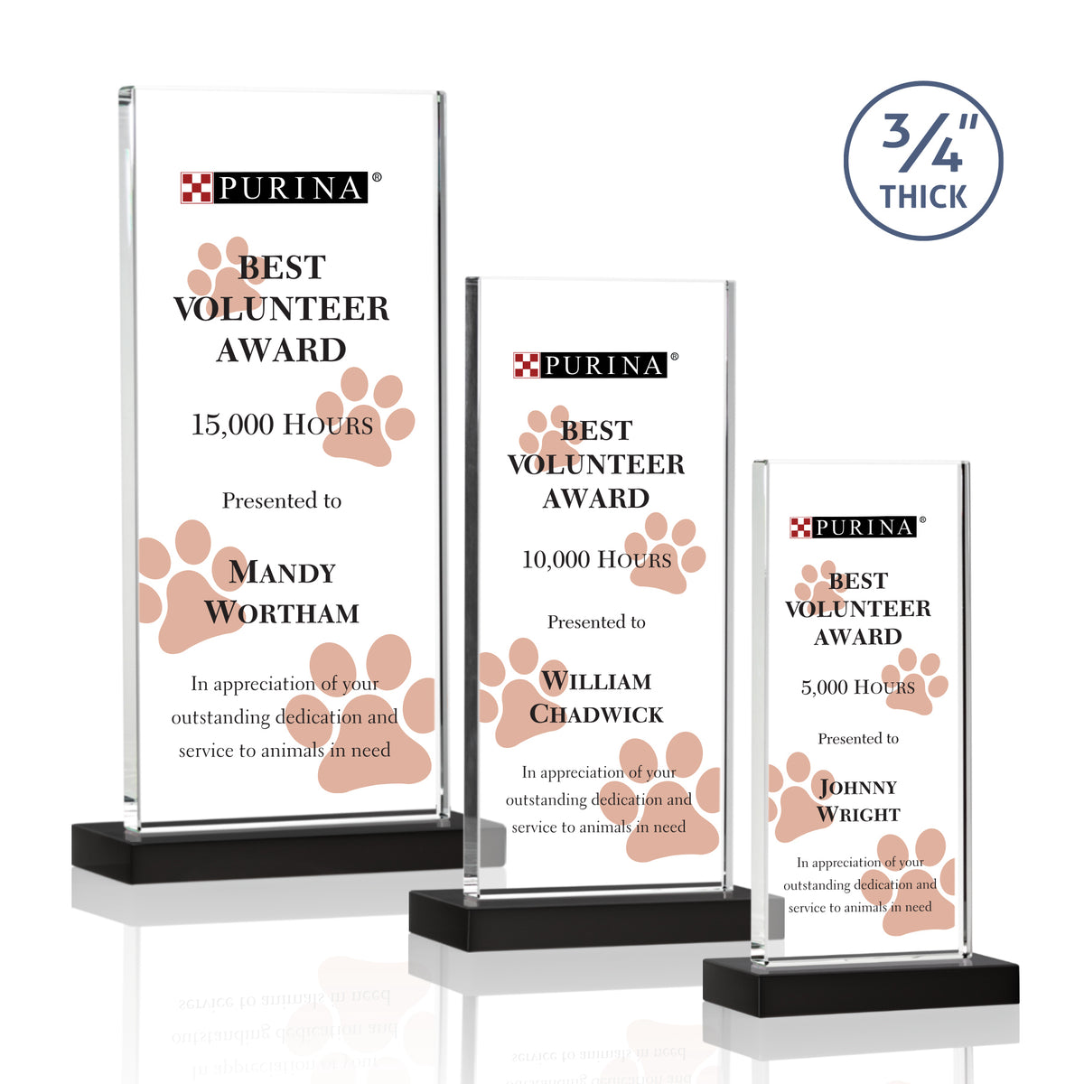 Arizona VividPrint™ Award - Black