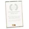Rectangle CrystalEdge Glass Award