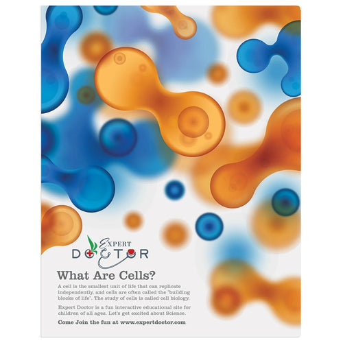 11" x 14" ChromaLuxe Aluminum Photo Panel