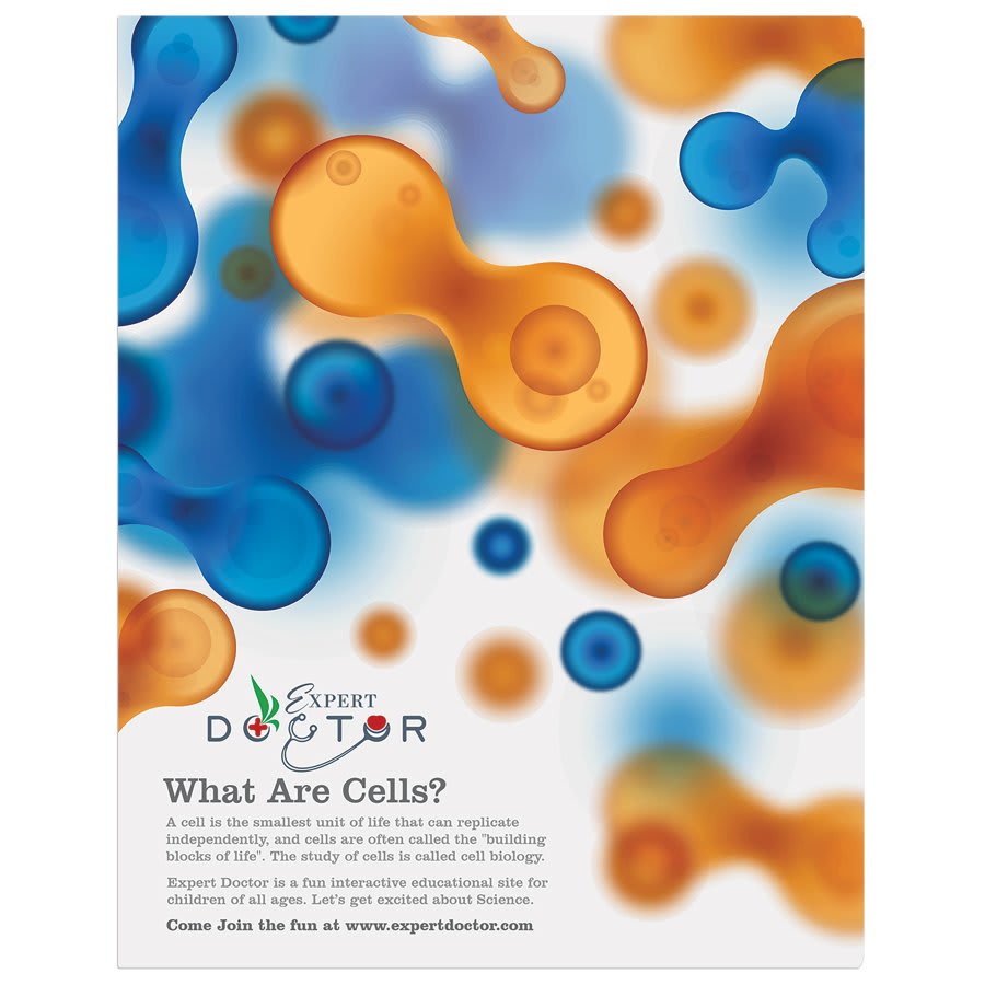 11" x 14" Semi-Gloss ChromaLuxe Aluminum Photo Panel