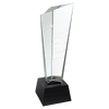 Crystal 3D Rising Peak Award