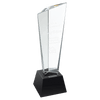 Crystal 3D Rising Peak Award