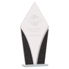 Designer Glass Award — Shape and Size