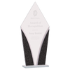 Designer Glass Award — Shape and Size
