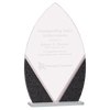 Designer Glass Award — Shape and Size