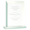 8 1/2" Rectangle Glass Award