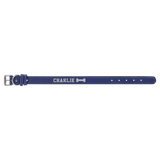 Blue/Silver