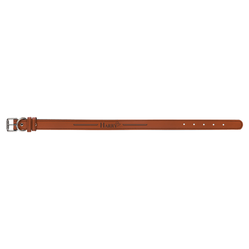 Large 23" x 1" Laserable Leatherette Dog Collar