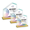 Fairmont VividPrint™ Award