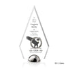 Apex Hemisphere VividPrint™ Award
