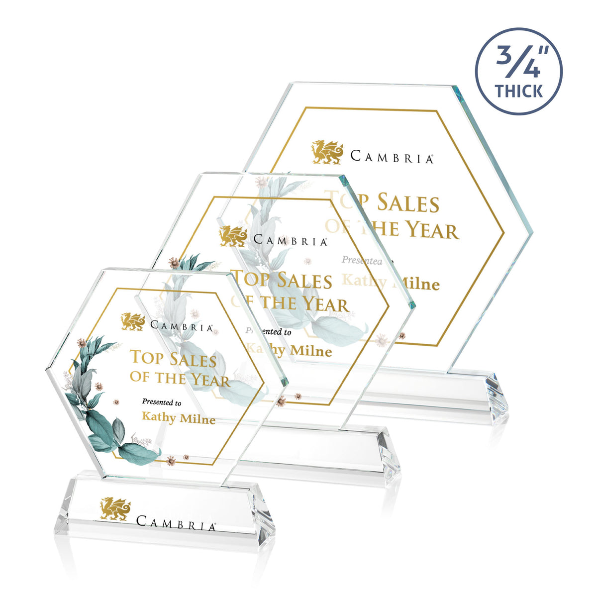 Ralston VividPrint™ Award
