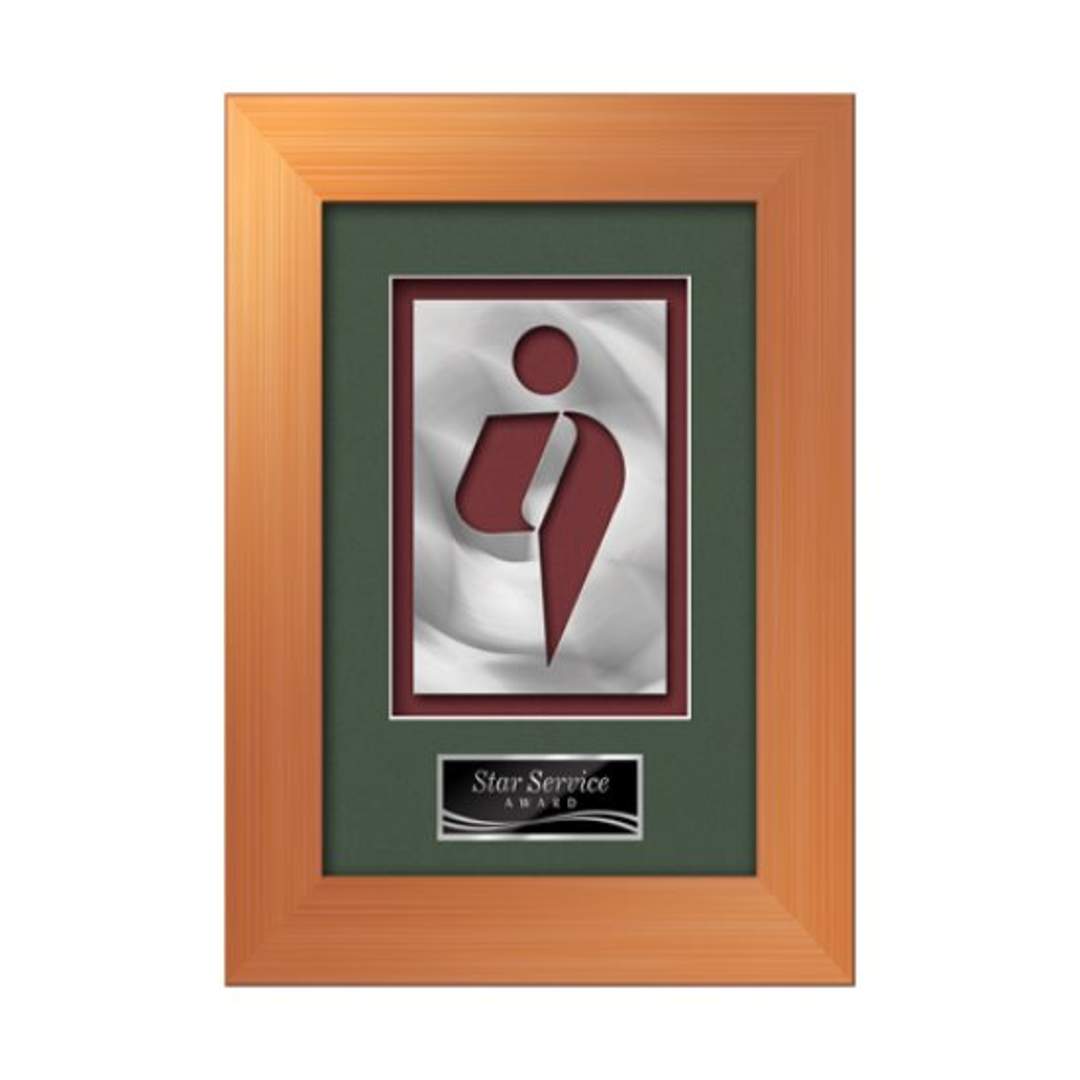 Premier Aquashape Framed Award