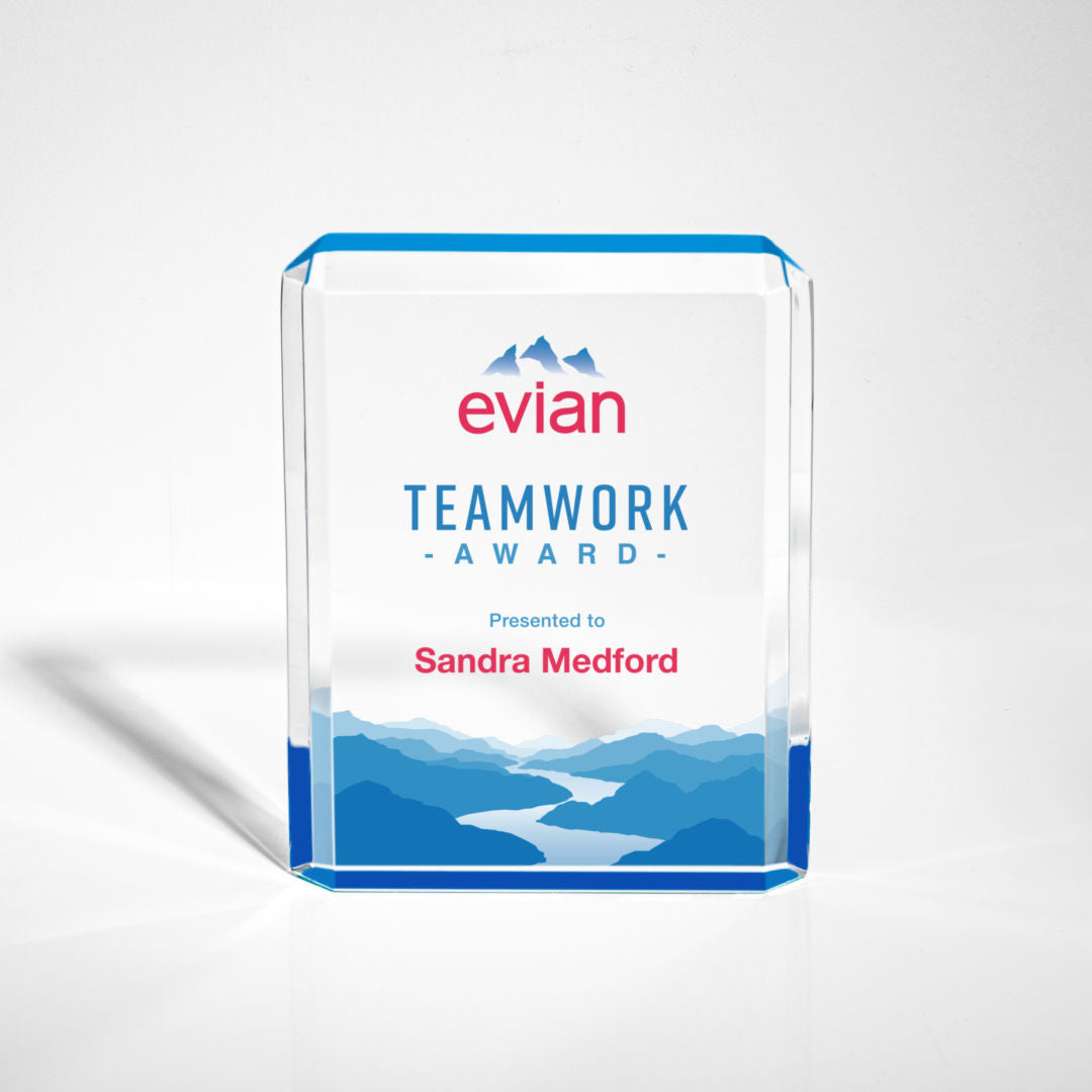 Paragon VividPrint™ Award