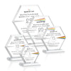 Barnett VividPrint™ Award