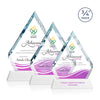 Apex VividPrint™ Award on Newhaven Base