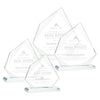 Lexus Award