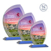 Wichita VividPrint™ Award