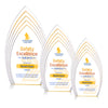 Turello VividPrint™ Award