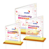 Bellamy VividPrint™ Award