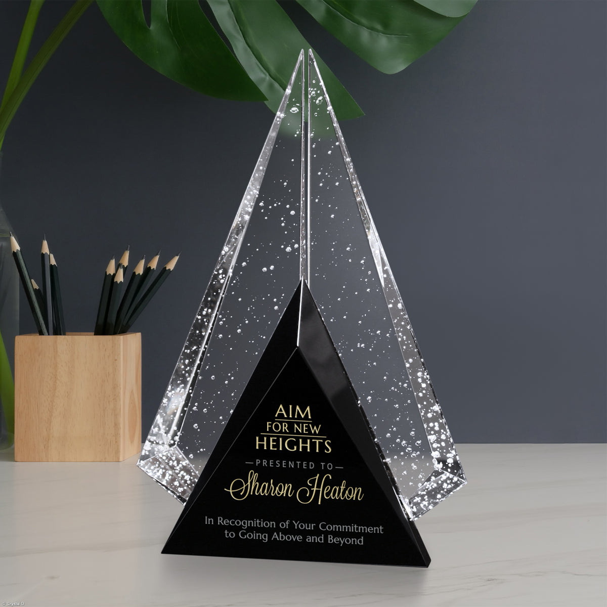 Archer Award 9-1/2" - Crystal D