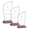 Tomkins Award