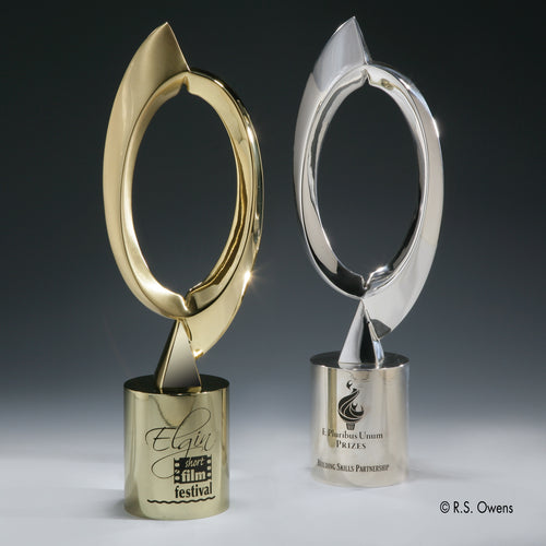 Synergy Metal Ring Award