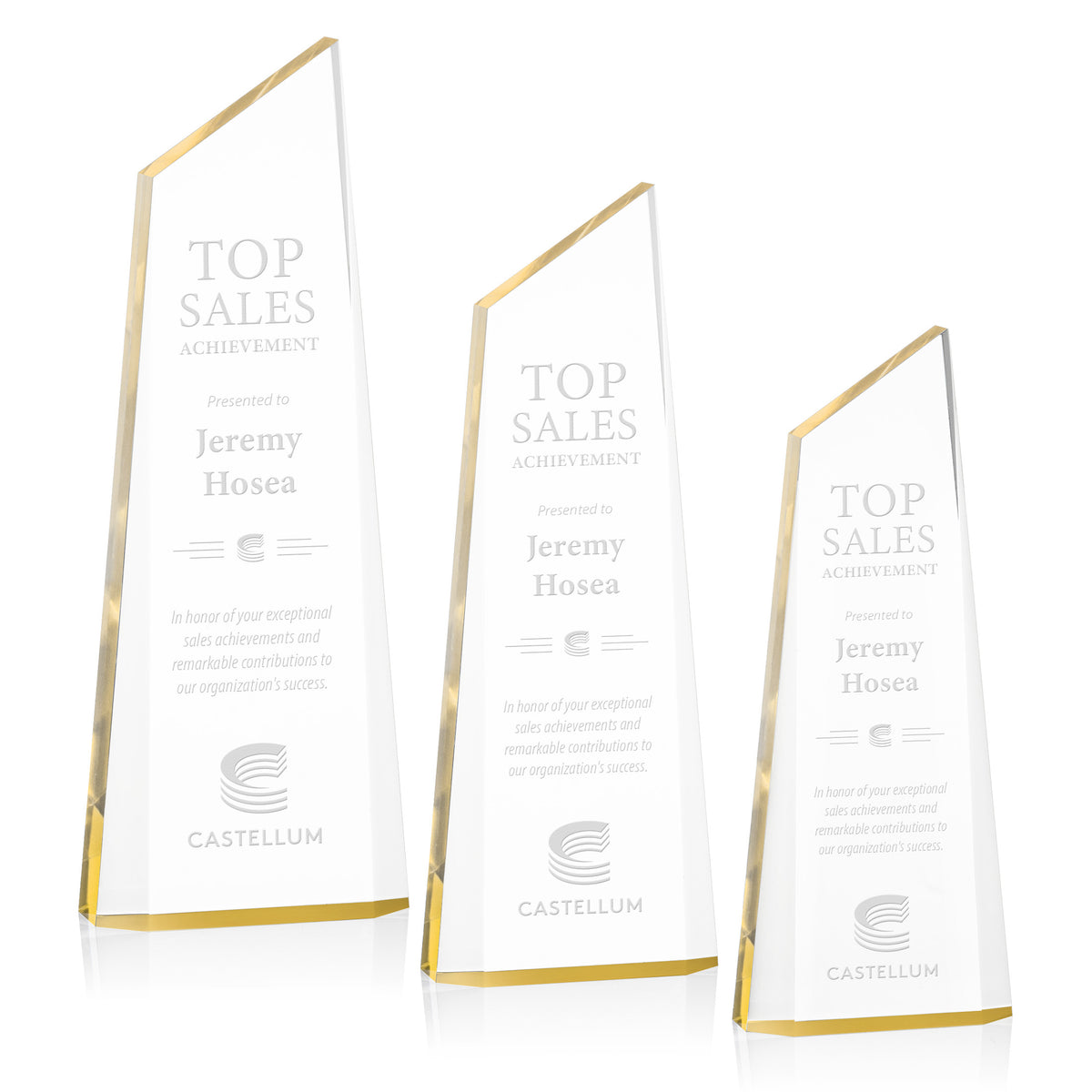 Hudson Award - Gold