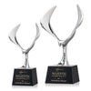 Maverick Eagle Award on Robson Base