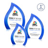 Tidworth Blaze VividPrint™ Award