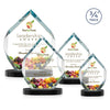 Royal Diamond VividPrint™ Award on Alberton Base