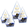 Shelton VividPrint™ Award
