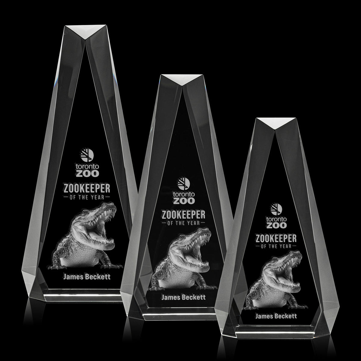 Carmel 3D Award