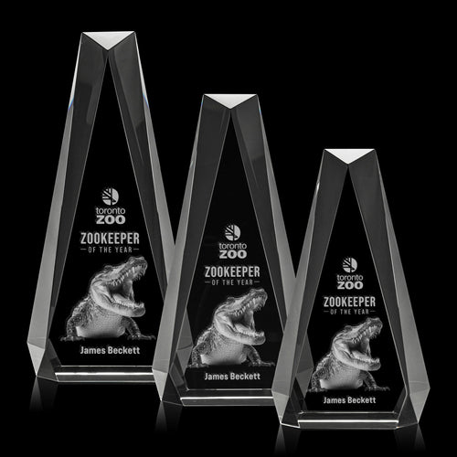 Carmel 3D Award