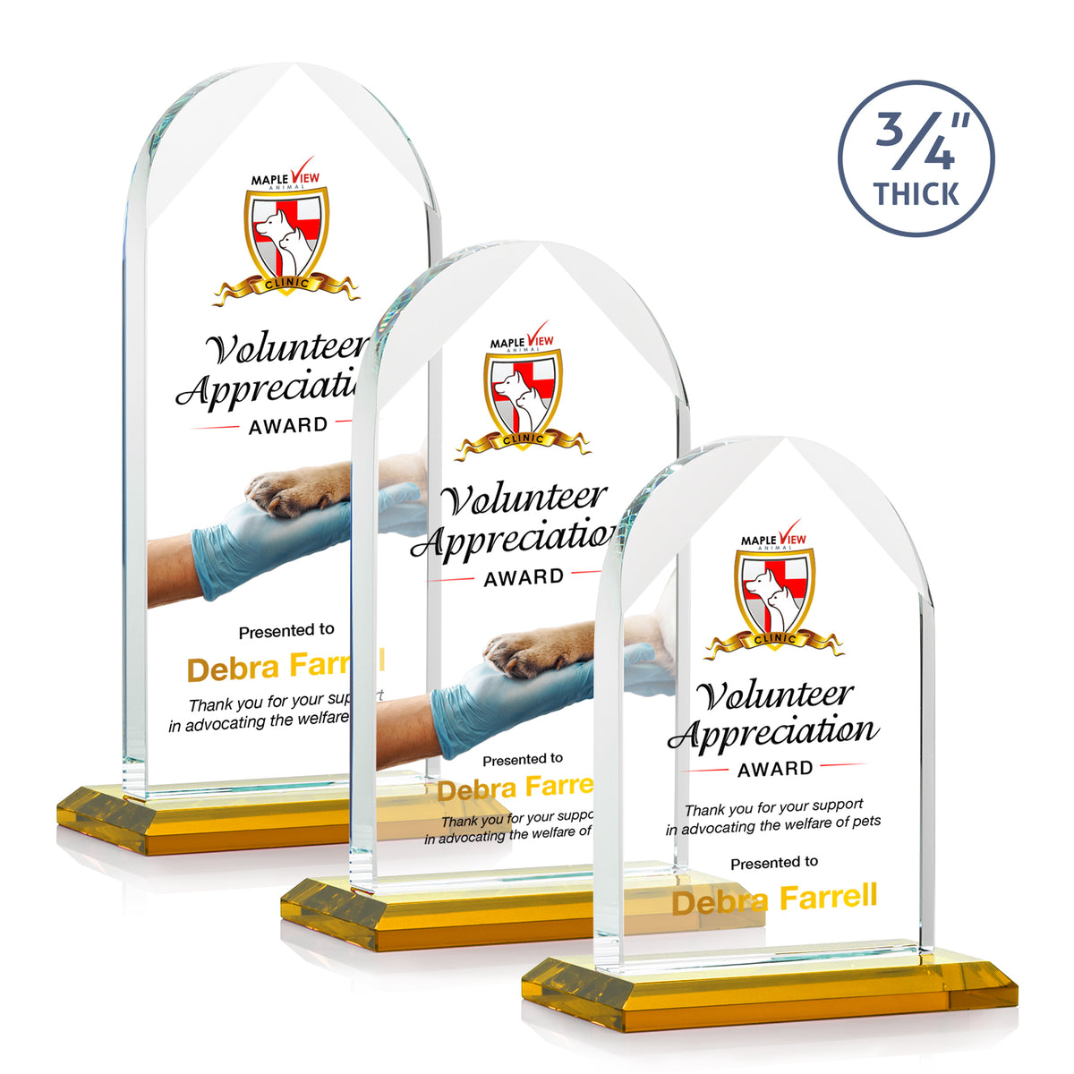 Blake VividPrint™ Award - Amber